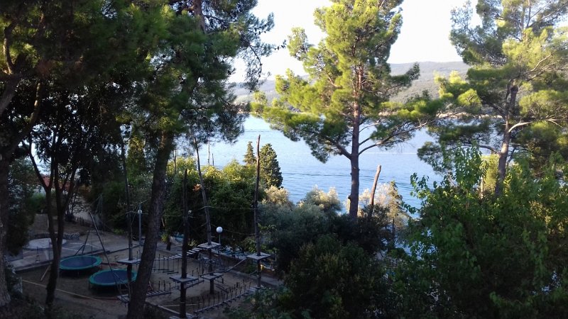 20170825_075321 01.jpg